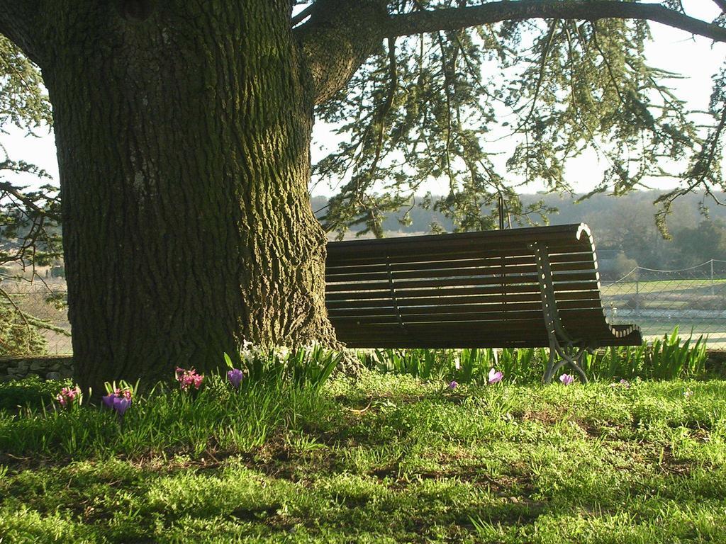 Chateau De La Noblaye Bed & Breakfast Lemere ภายนอก รูปภาพ