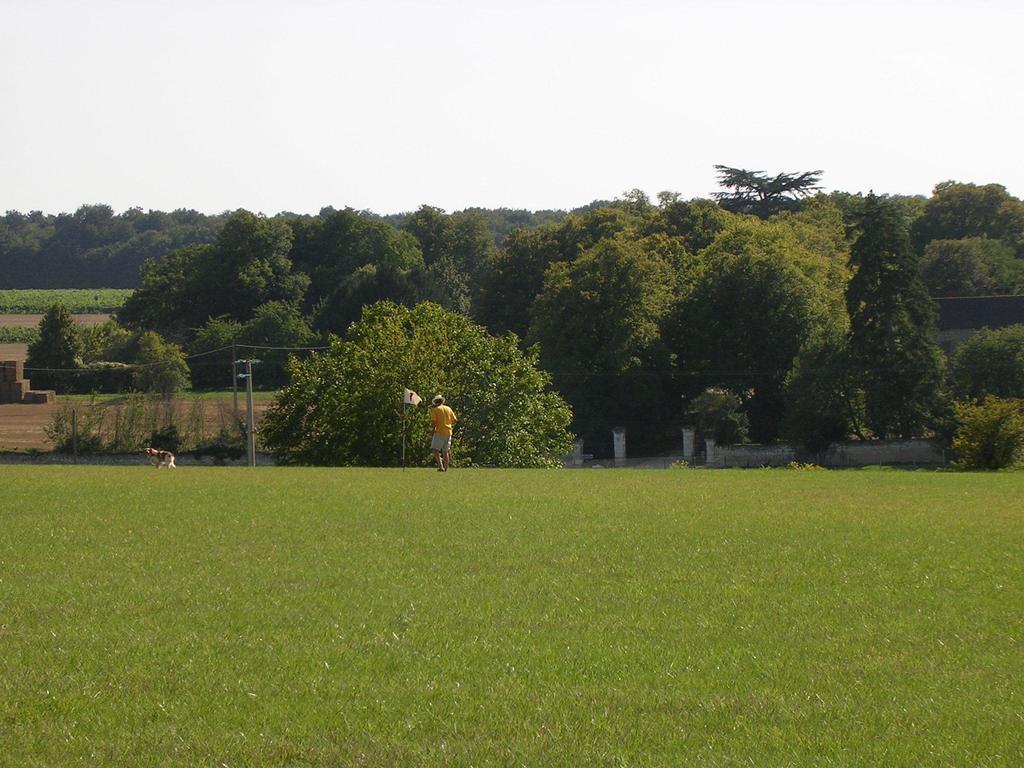 Chateau De La Noblaye Bed & Breakfast Lemere ภายนอก รูปภาพ