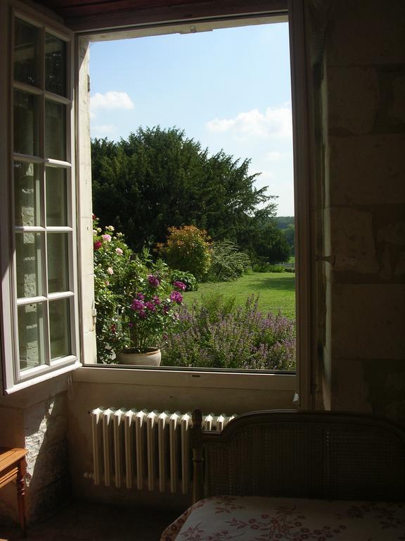 Chateau De La Noblaye Bed & Breakfast Lemere ภายนอก รูปภาพ