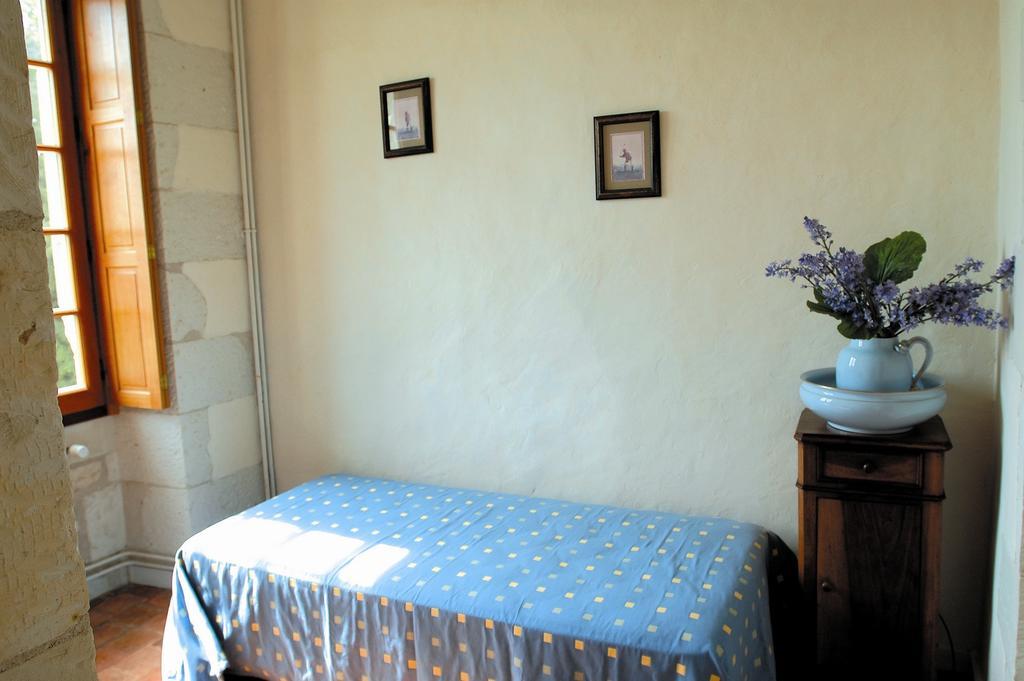 Chateau De La Noblaye Bed & Breakfast Lemere ภายนอก รูปภาพ